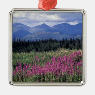 Ornement En Métal Amérique du Nord, Canada, Yukon. Épilobe en fleurs