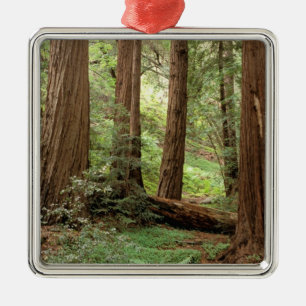 Ornement En Métal Amérique du Nord, États-Unis, Californie, Big Su