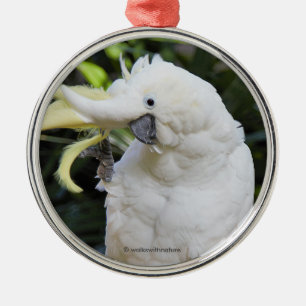 Ornement En Métal Amusante Vagues D'Oiseaux De Cockatoo Au Sulfure