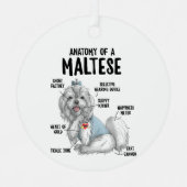 Ornement En Métal Anatomie d'un chien maltais propriétaire chiot drô (Recto)