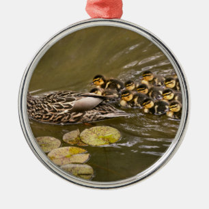 Ornement En Métal Animal - Canards - Nager comme un canard