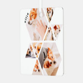 Ornement En Métal Animaux de compagnie Formes modernes Géométrique 8 (Avant gauche)