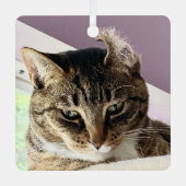 Ornement En Métal Annie's Christmas Ornament (Recto)