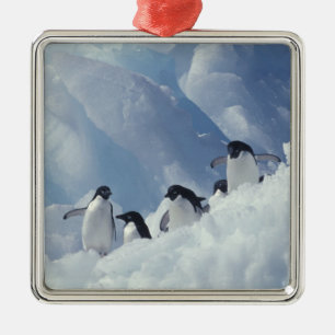 Ornement En Métal Antarctique. Manchots Adélie