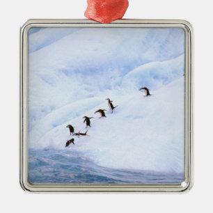 Ornement En Métal Antarctique, péninsule Antarctique. Chinstrap