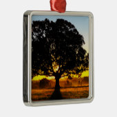 Ornement En Métal Arbre pendant le matin (Droite)