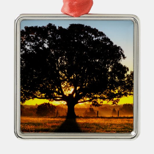 Ornement En Métal Arbre pendant le matin (Devant)