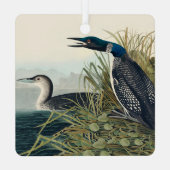 Ornement En Métal Audubon Bird Loon Diver Classic (Verso)