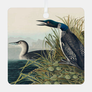 Ornement En Métal Audubon Bird Loon Diver Classic
