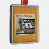 Ornement En Métal Balcon Kitteh de St de Burbon (Droite)