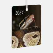Ornement En Métal Ball Python Snake (Avant droite)