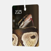 Ornement En Métal Ball Python Snake (Avant gauche)