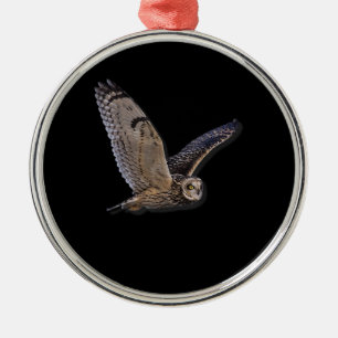 Ornement En Métal Barn Owl Spirit Animal Nature Et Amant Extérieur