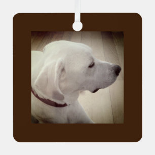 Ornement En Métal Beau profil de chien Photo Dark Brown Rustic