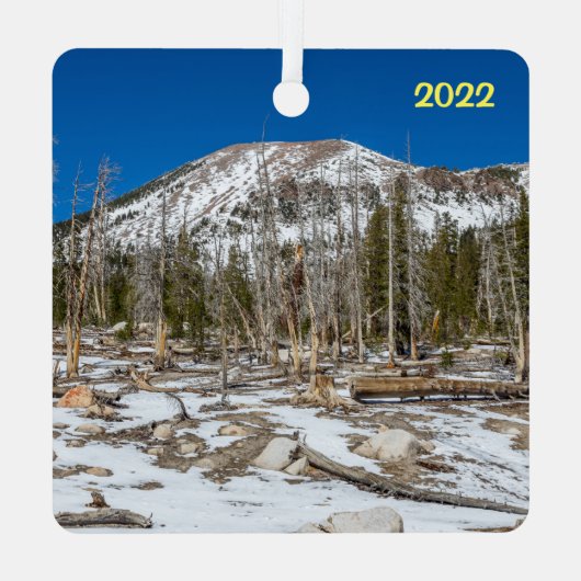 Ornement En Métal Beaux Mammoth Lakes, CA (Verso)