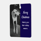 Ornement En Métal Black and White Photo of Sad Dog Missing You Blue (Avant gauche)