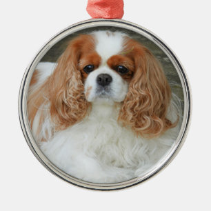 Ornement En Métal Blenheim Cavalier King Charles Spaniel Chien Chien