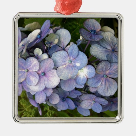 Ornement En Métal Blue Purple Hydrangea (Devant)