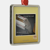 Ornement En Métal Boîte impressionnante (Droite)