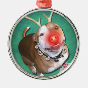 Ornement En Métal Boodolph