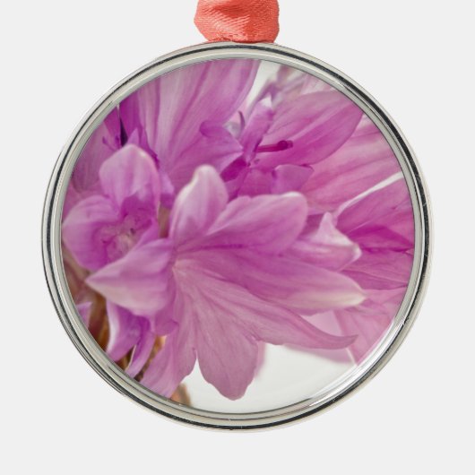 Ornement En Métal Bouton de mise à jour (Devant)