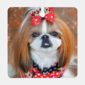 Ornement En Métal Brown and White Shih Tzu Puppy Dog (Verso)