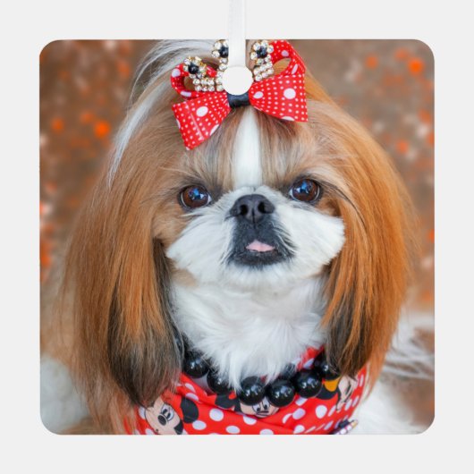 Ornement En Métal Brown and White Shih Tzu Puppy Dog (Recto)