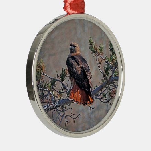 Ornement En Métal Buse à queue rousse (Droite)