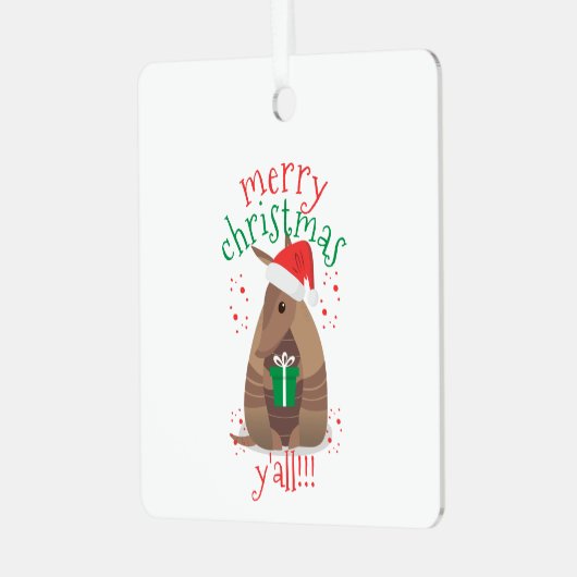 Ornement En Métal Cadeaux père Noël Armadillo Texas (Avant gauche)