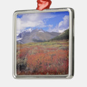 Ornement En Métal Canada, Alberta, Banff NP. Huckleberries fleurisse (Gauche)