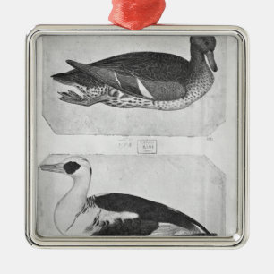 Ornement En Métal Canards, le de l'album de Vallardi