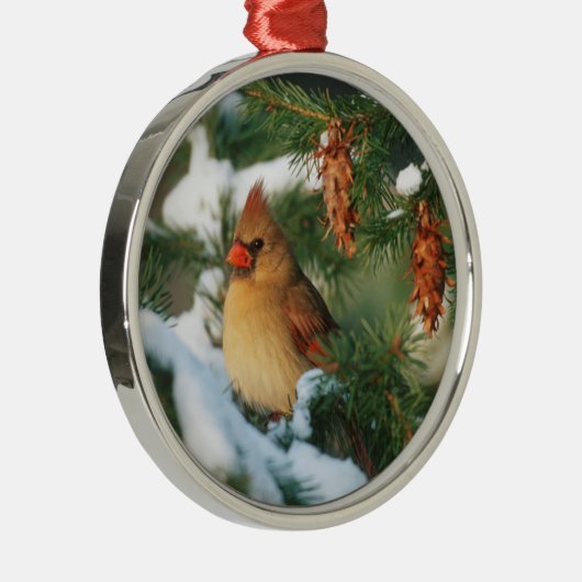 Ornement En Métal Cardinal du Nord dans l'arbre, Illinois (Droite)