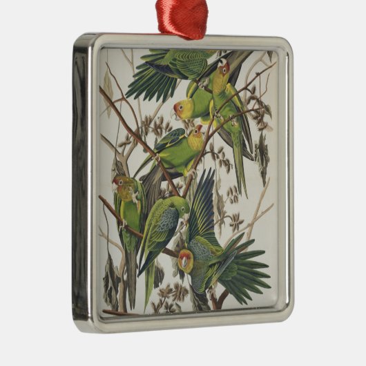 Ornement En Métal Carolina Parakeet, de 'Birds of America', 1829 (Droite)