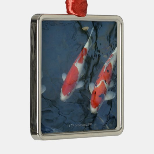 Ornement En Métal Carpe de Koi dans l'étang, vue courbe (Droite)