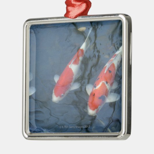 Ornement En Métal Carpe de Koi dans l'étang, vue courbe (Gauche)