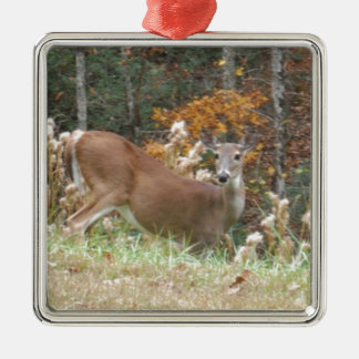 Ornement En Métal Cerf d'automne dans le lac Arrowhead