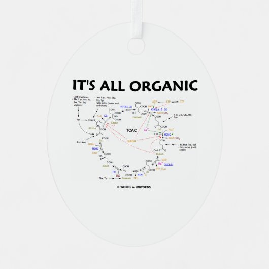 Ornement En Métal C'est tout cycle biologique Krebs cycle Citric Aci (Recto)