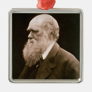 Ornement En Métal Charles Darwin (1809-82) (photo)