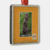 Ornement En Métal Chat d'opéra (Droite)