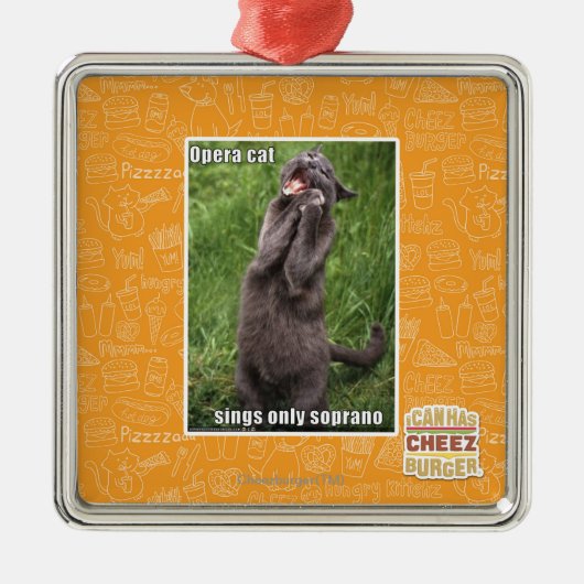 Ornement En Métal Chat d'opéra (Devant)