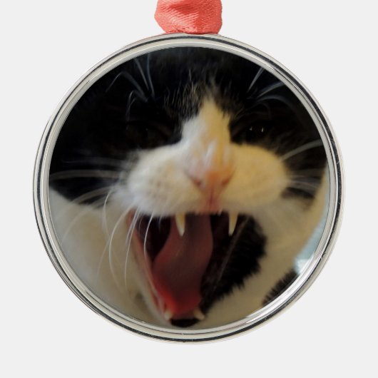 Ornement En Métal Chat fâché (Devant)