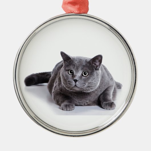 Ornement En Métal Chat gris (Devant)