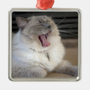 Ornement En Métal chat Neva Masquerade bâillant