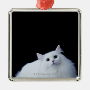 Ornement En Métal Chat sibérien