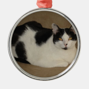 Ornement En Métal Chat sur un divan
