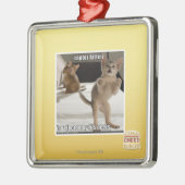 Ornement En Métal Chaton de Raptor (Gauche)