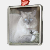 Ornement En Métal Chatte Ragdoll (Gauche)