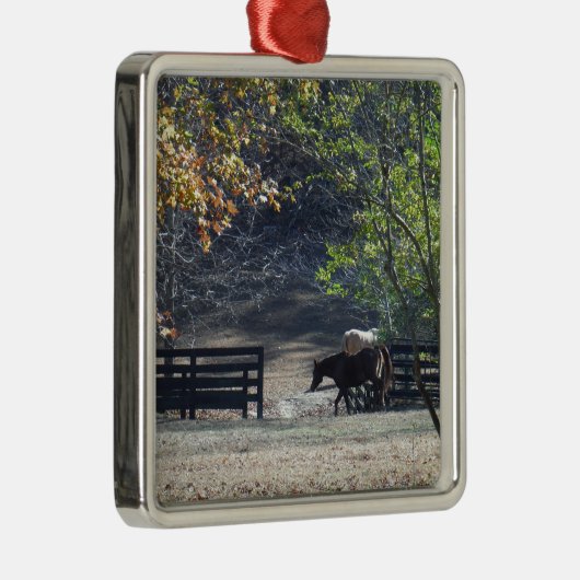 Ornement En Métal Cheval Brown à pied à travers la clôture (Droite)