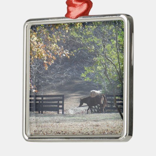 Ornement En Métal Cheval Brown à pied à travers la clôture (Gauche)