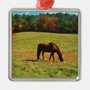 Ornement En Métal Cheval Brown rouge dans les arbres d'automne
